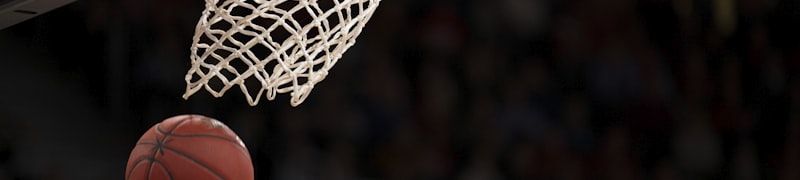 NBA总决赛湖人队比赛现场直播