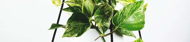 英超联赛利物浦对阵曼城比赛直播画面